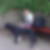 Profilbild von Claudia Bech