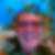 Profilbild von Norbert Vipotnik