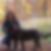 Profilbild von Petra Hillmann