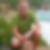 Profilbild von Thomas Janz