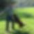 Profilbild von Sven Tornedde