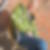 Profilbild von Peter Donner