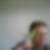 Profilbild von Silke Ploetz