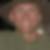 Profilbild von Martin Wolke