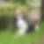 Profilbild von Bärbel Hübler 