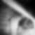 Profilbild von Lukas Windolph