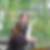 Profilbild von Moni Kistler