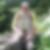 Profilbild von Stefan Schindler