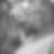 Profilbild von Bernd Scholze