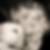 Profilbild von Ute Wendling