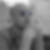 Profilbild von Daniel Wetzel