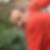 Profilbild von Peter Bremm