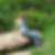 Profilbild von Kerstin Gindler