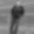 Profilbild von Max Stegerwald
