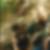 Profilbild von Wilfried Traub