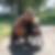 Profilbild von Yvonne Stier