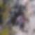 Profilbild von Irmgard Rauer