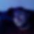 Profilbild von David Grigoleit
