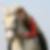Profilbild von Claudia Seef