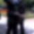 Profilbild von Sigrid Merckle