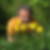 Profilbild von Georg Götz