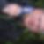 Profilbild von Thorsten Heck