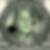 Profilbild von Marius Springer