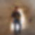 Profilbild von Walter Wolf