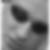 Profilbild von Thorsten Willer