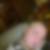 Profilbild von Roy Hupfer
