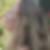 Profilbild von Claudia Sternad