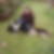Profilbild von Anke Stock