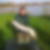 Profilbild von Markus Lehmkuhl