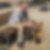 Profilbild von Peter-Michael Scheller