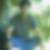 Profilbild von Tam Trinh
