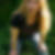 Profilbild von Mareike Meyer