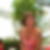 Profilbild von Antje Schlöter
