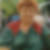 Profilbild von Roswitha Schwabe 