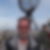 Profilbild von Siegfried Anders
