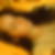 Profilbild von Maria Sila