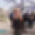 Profilbild von Iris Knackstedt