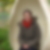 Profilbild von Corinna Spange