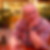 Profilbild von Roland Wolf