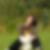 Profilbild von Melanie Bandt