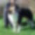 Profilbild von Andreas Petersohn
