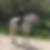 Profilbild von Nina Repenning