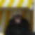 Profilbild von Nadine Seuthe