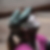 Profilbild von Annette Schaly