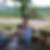 Profilbild von Holger Dalichow