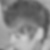 Profilbild von Heike Kruse